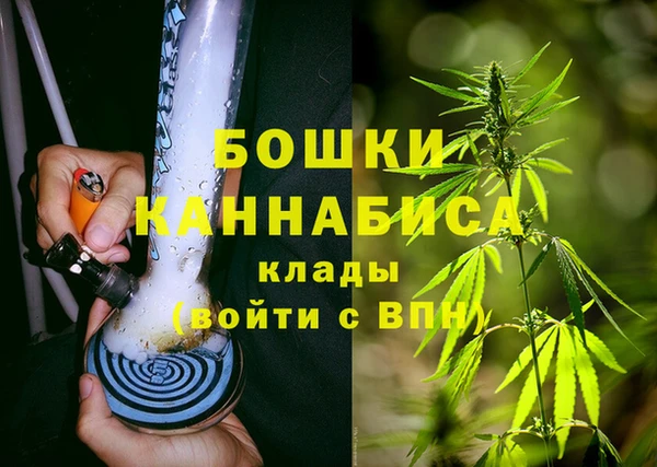 сатива Аркадак