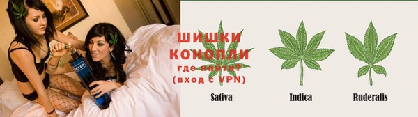 эйфоретик Баксан