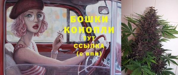сатива Аркадак