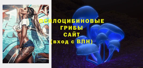 эйфоретик Баксан