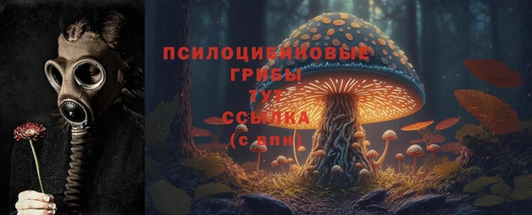 сатива Аркадак