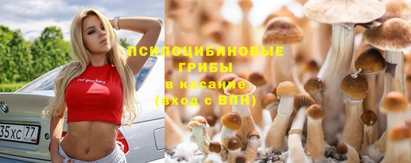 стаф Армянск