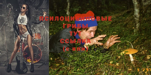 сатива Аркадак