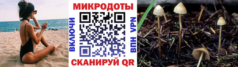 цены наркотик  Микунь  Псилоцибиновые грибы GOLDEN TEACHER 